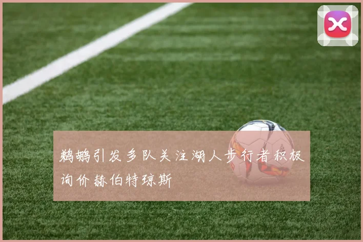鹈鹕引发多队关注湖人步行者积极询价赫伯特琼斯