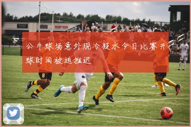 公牛球场意外现冷凝水今日比赛开球时间被迫推迟